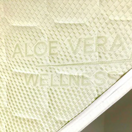 Old Beer - Stein * Bratislava