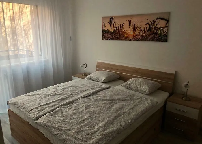 Old Beer - Stein * Bratislava