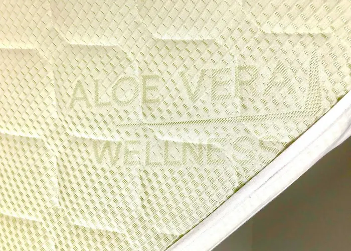 Old Beer - Stein * Bratislava